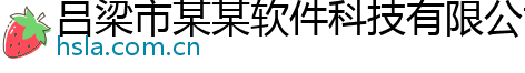 吕梁市某某软件科技有限公司